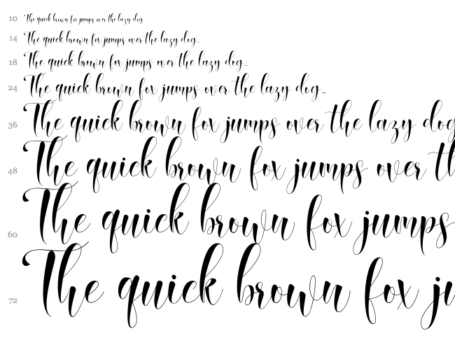 Qasmi Script font waterfall
